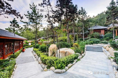 探索山西晉中的云泉谷景區(qū),天然氧吧與刺激體驗(yàn)