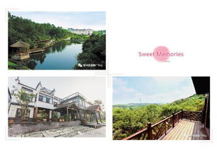 數(shù)說假期 當(dāng)端午 撞 上父親節(jié),這個小長假想不熱鬧都不行