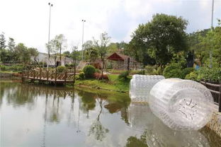 釣魚 看龜 摘水果 吃清蒸葡萄雞 這個秋天一定要去這里秋游