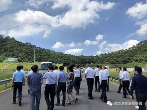 深圳要建三大垃圾焚燒廠 日焚垃圾8000噸