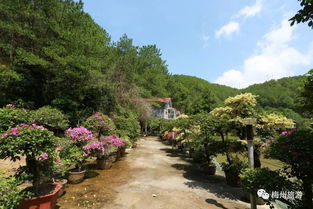 梅州鄉村旅游精品路線 四 蕉嶺山水名人之旅