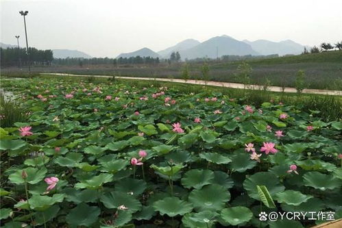 周末梅河口自駕游去哪兒好玩