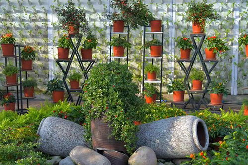 北京市延慶區 香龍路 春觀花休閑之旅