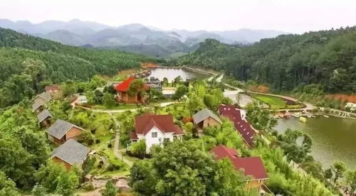 跨越山海 三明在福廈泉推介全域全時旅游與森林康養新體驗