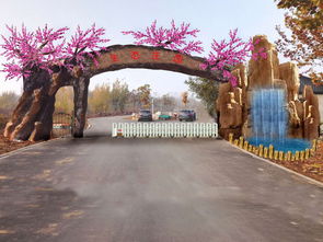 專(zhuān)業(yè)施工，生態(tài)融合 九龍?zhí)渡鷳B(tài)園仿真樹(shù)大門(mén)設(shè)計(jì)與安裝紀(jì)實(shí)